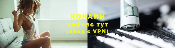 мяу мяу мука Дмитриев