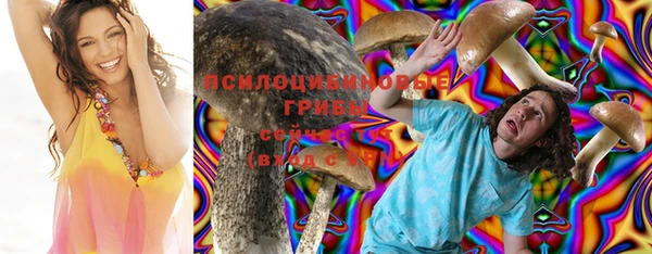 ECSTASY Ельня