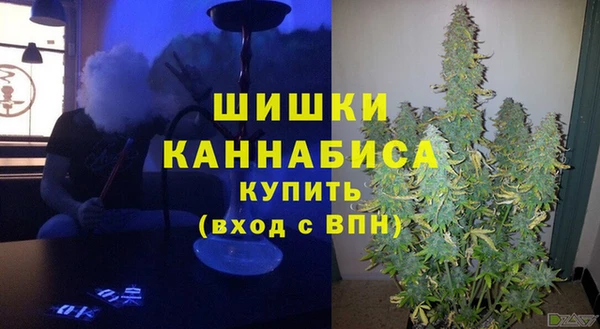 сатива Заволжск