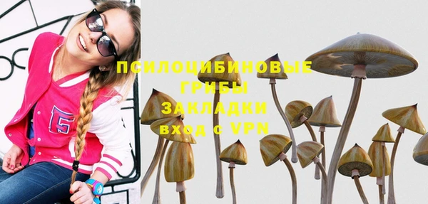 мяу мяу мука Дмитриев