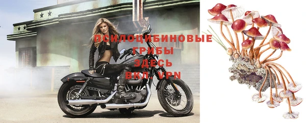 марки nbome Дмитровск